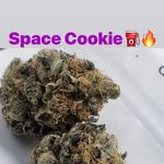 Lavell Johnson - @lavell396 - Instagram