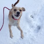 Murphy - @murphy_lavelle - Instagram