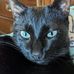 LaVella Perry - Facebook