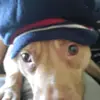lavellebennett58 - @itsmeboog - TikTok