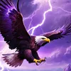 Eagle - @eagle8495 - TikTok