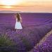 Lavender Doe - Facebook