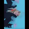 Zlp - @lavernechase - TikTok