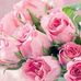 Lavern Cole - Facebook