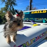 LaVerne Cole-Riggins Cowperthwaite - @jeepdawgsnfriendz - Instagram