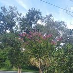 LavE - @lavernedwards20 - Instagram