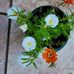 Lavern Edwards - Facebook