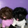 lavern_jackson - @lavern_jackson - TikTok
