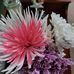 LaVerne Bean - Facebook