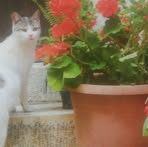 Laverne Benjamin - Facebook
