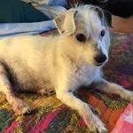 LaVerne Bishop DeRienzo - @lavernederienzo - Instagram