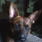 Laverne Coates - Facebook