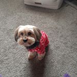 Laverne Durham - @lady_durham1 - Instagram