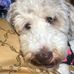Laverne Gregory - Facebook