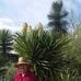 LaVerne Gregory - Facebook