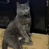 LAVERNE HOLMON - @laverne.holmon - TikTok