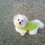 Laverne Knox - @knoxlaverne - Instagram
