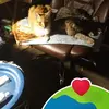 lavernemarshallcr - @lavernemarshallcr - TikTok