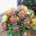 Lavern Moses - Facebook