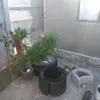 lavernepetersen61 - @lavernepetersen1 - TikTok