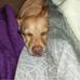 Laverne C Sumner - Facebook