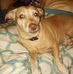 Laverne Sumner - Facebook