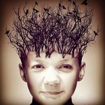 Laverne - @laverne_walsh - Instagram