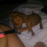 Laverne Watson - @gucci_mane_66 - Instagram