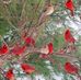 Laverne Watson - Facebook