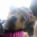 Laverne Workman - Facebook