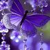 Lynette Hooton - Facebook