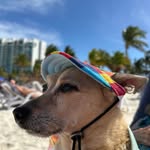 Debbie Lavina Moore - @debmoorela - Instagram