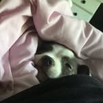 Lavinia Green - @lavinia_green123 - Instagram