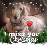 Lavinia Johnson - @omg_ppl - Instagram