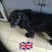 Lavinia Johnson - Facebook