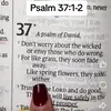 lavonnagiles - @lavonna.giles - TikTok