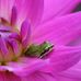 LaVon Henson - Facebook