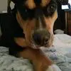 LaVonna Hunt - @lavonna.hunt - TikTok