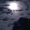 lavonmurrell - @lavonmurrell - TikTok