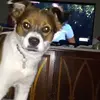 Lavon Parker - @lavon.parker2 - TikTok