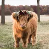 lavonicarichards - @lavonicarichards - TikTok
