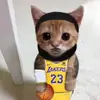 lavonte.2valid - @lavontescott - TikTok