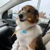 lavonsnyder222 - @lavonsnyder222 - TikTok