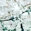 laven.summer - @laven.summer - TikTok