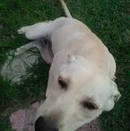 Lavon Welch - Facebook