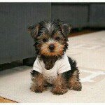 Lavonda Lee - @blaque85 - Instagram