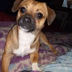 Lavonda Simpson - Facebook