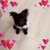 lavondasimon7 - @lavondasimon7 - TikTok