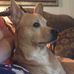 Lavonna Cook - Facebook