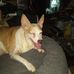 Lavonne Mann - Facebook